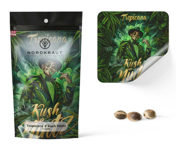 Samen 3x Tropicana X Kush Mintz fem. Nordkraut